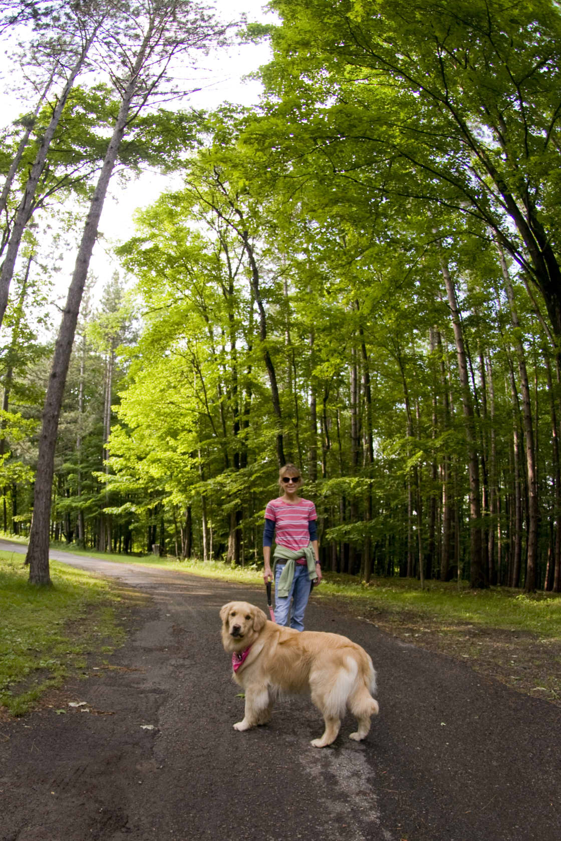 Dog friendly with plenty of trails!