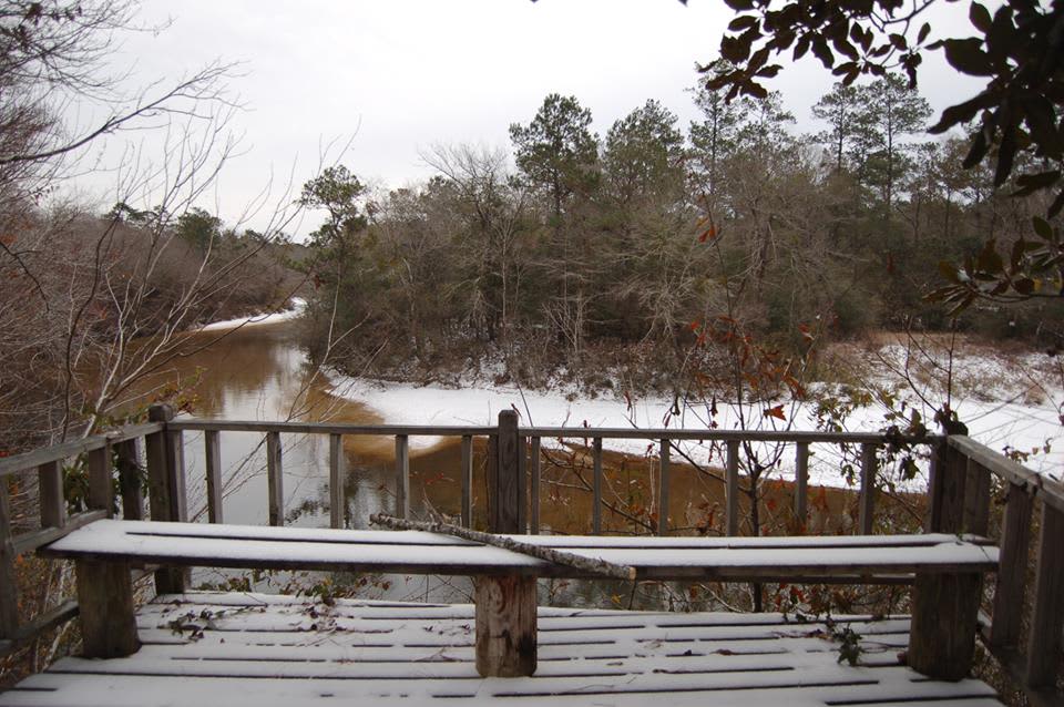 Escatawpa River Campground Hipcamp in Citronelle, Alabama