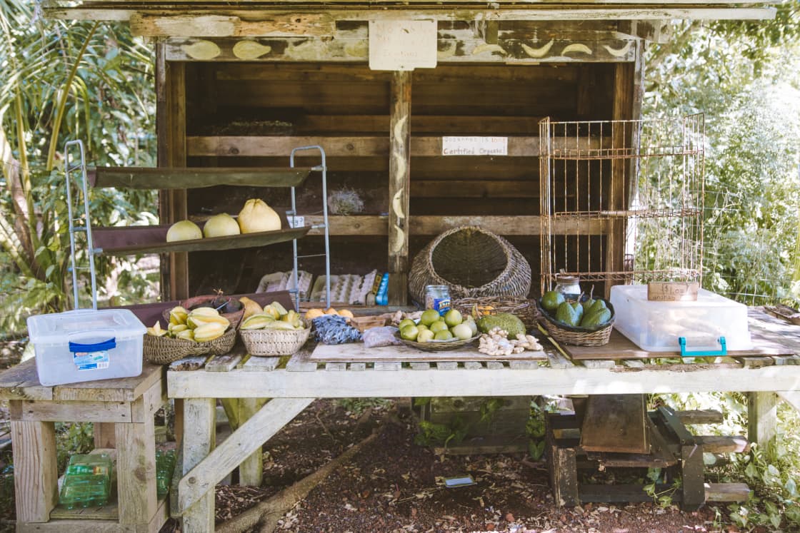 Fruit stand at the front of the property 