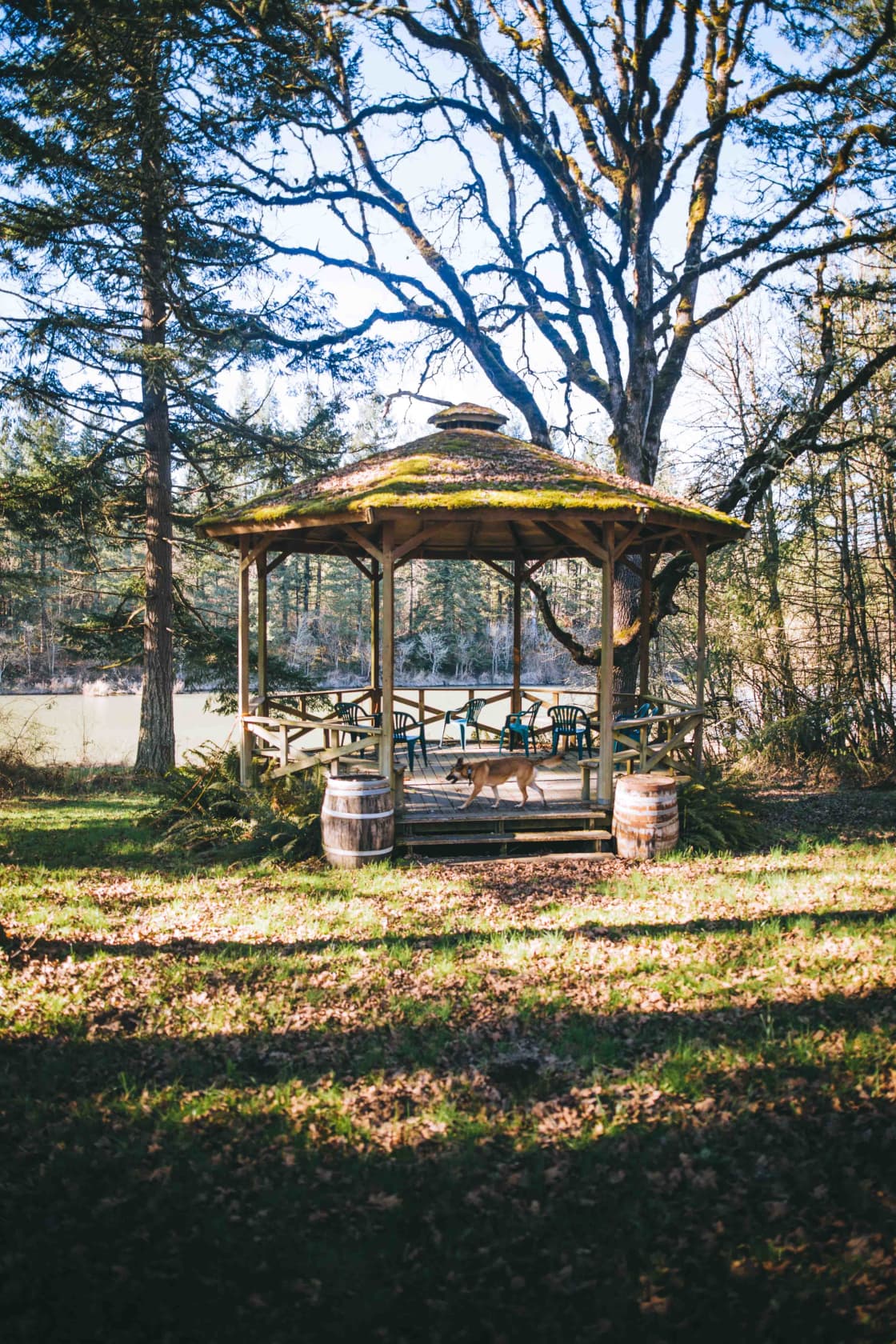 This gazebo would be super useful for more people!