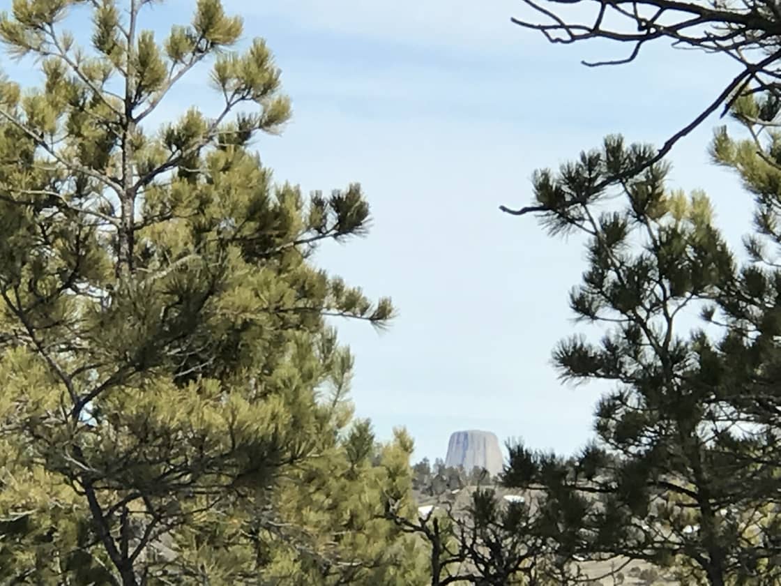 Enjoy the view of nearby Devils Tower