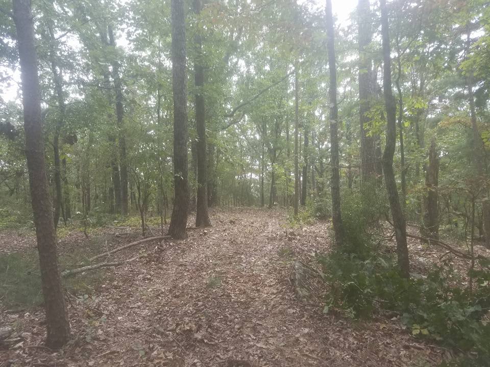 Utangard Hipcamp in Talking Rock,