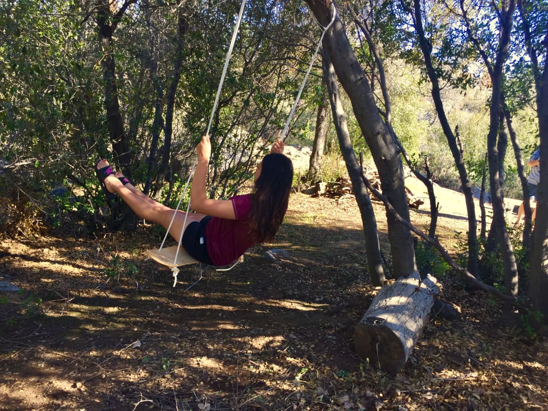 Swing among the trees