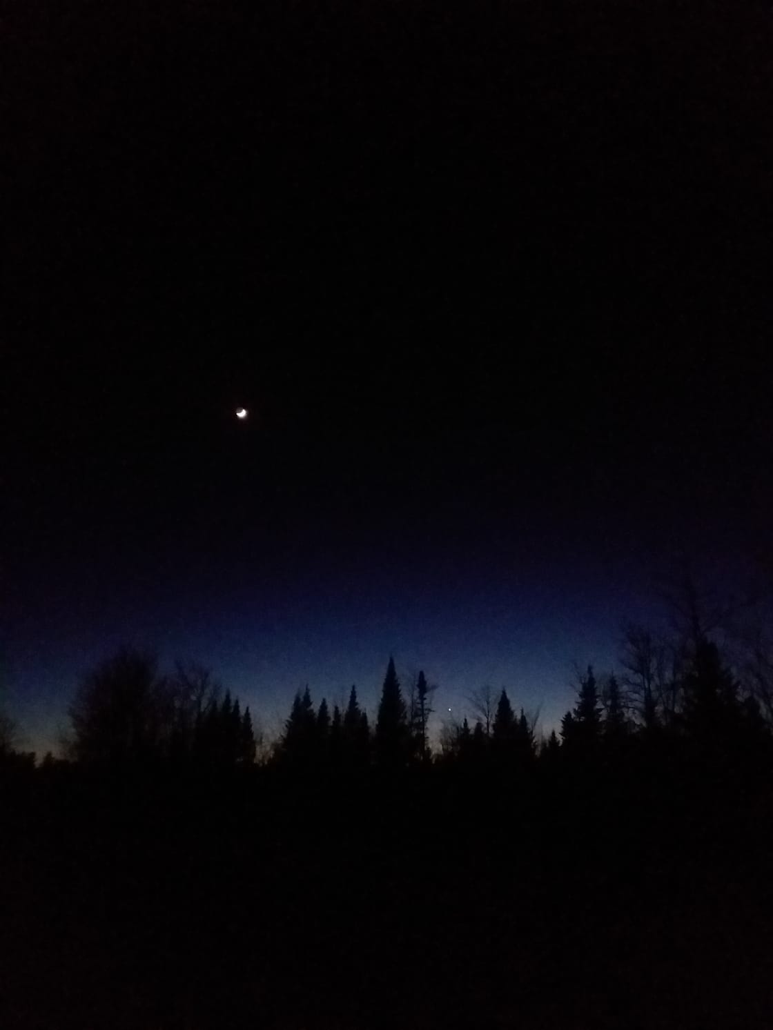A crescent moon in the sky and Venus down low in the trees.
