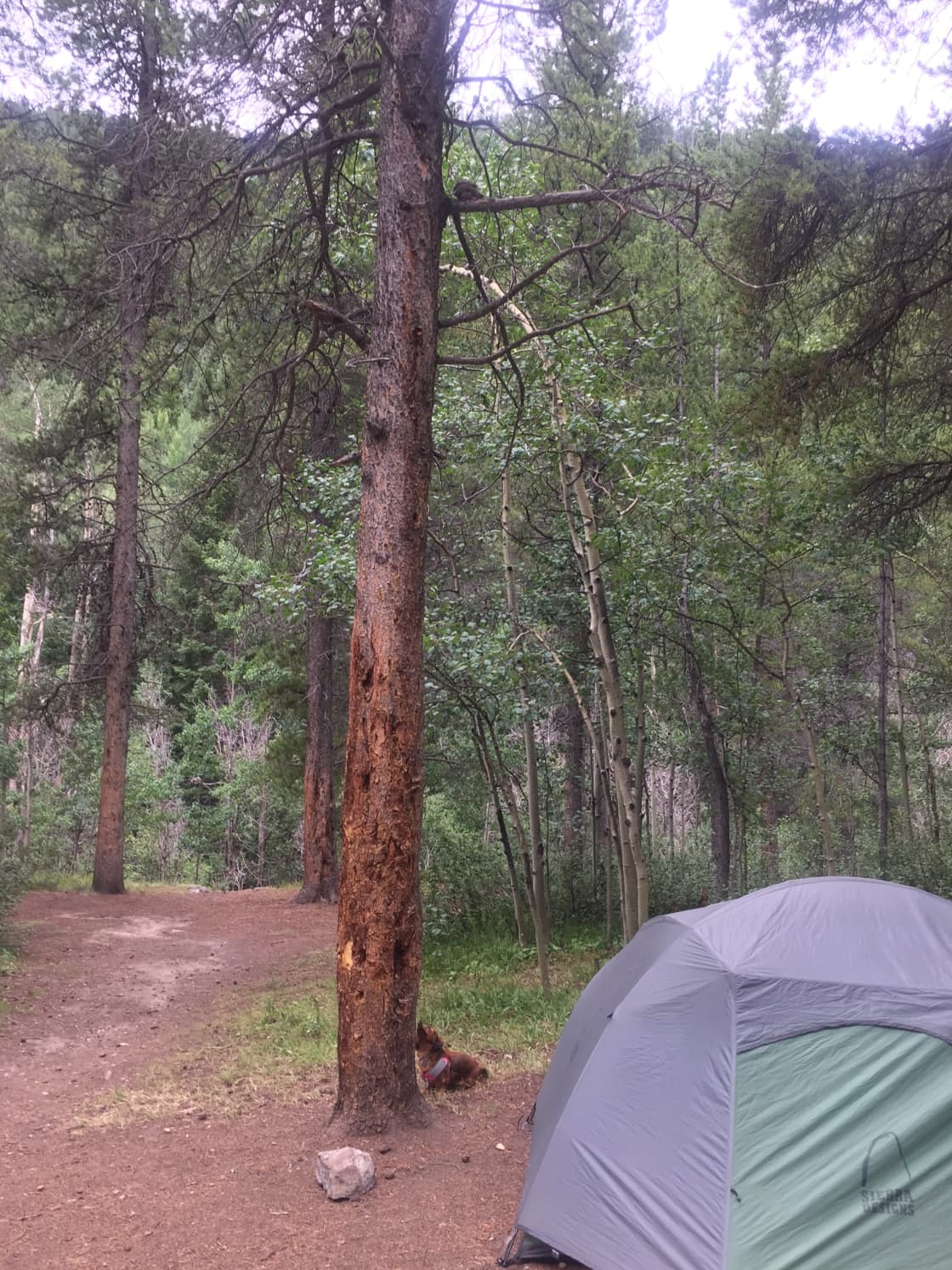 Collegiate Peaks Campground