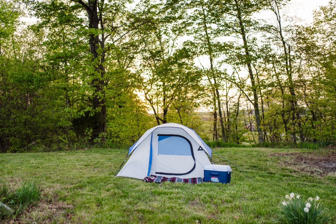 The wide open area for camping is flat and perfect for pitching a tent!