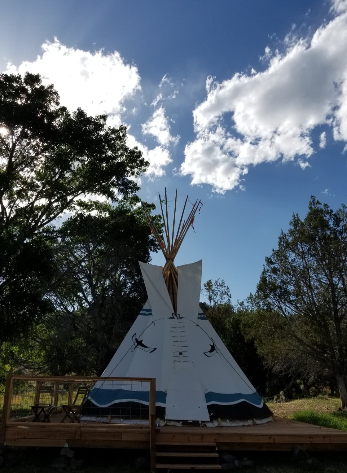 The Hawk Tipi is secluded and at the top of our pasture.  Wonderful views and easy access to our 'sage graveyard' on the other side of Love Gulch.