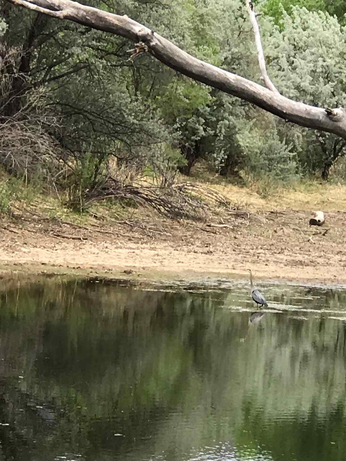 FISH FARM Hipcamp in Cortez, Colorado