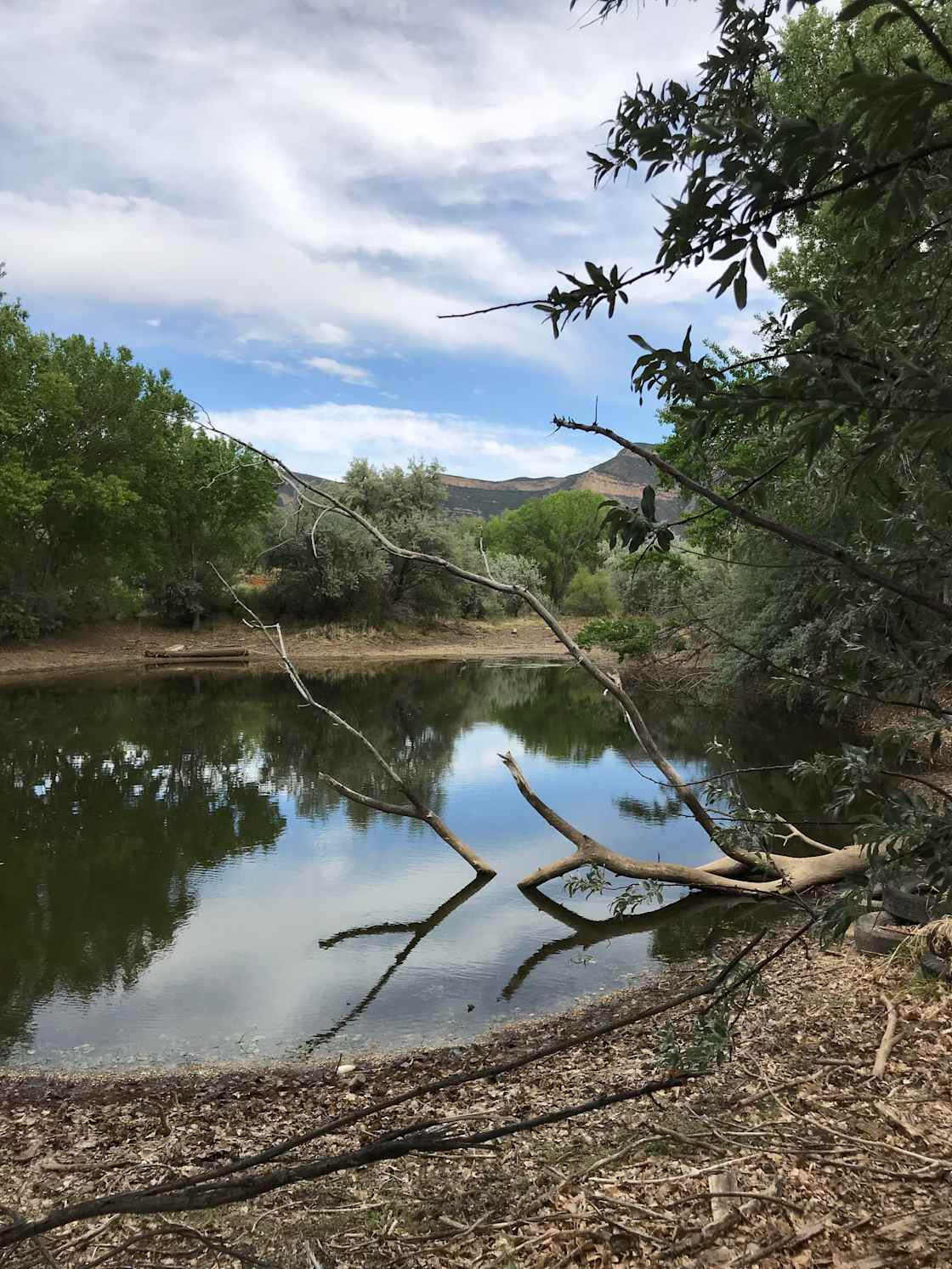 FISH FARM Hipcamp in Cortez, Colorado