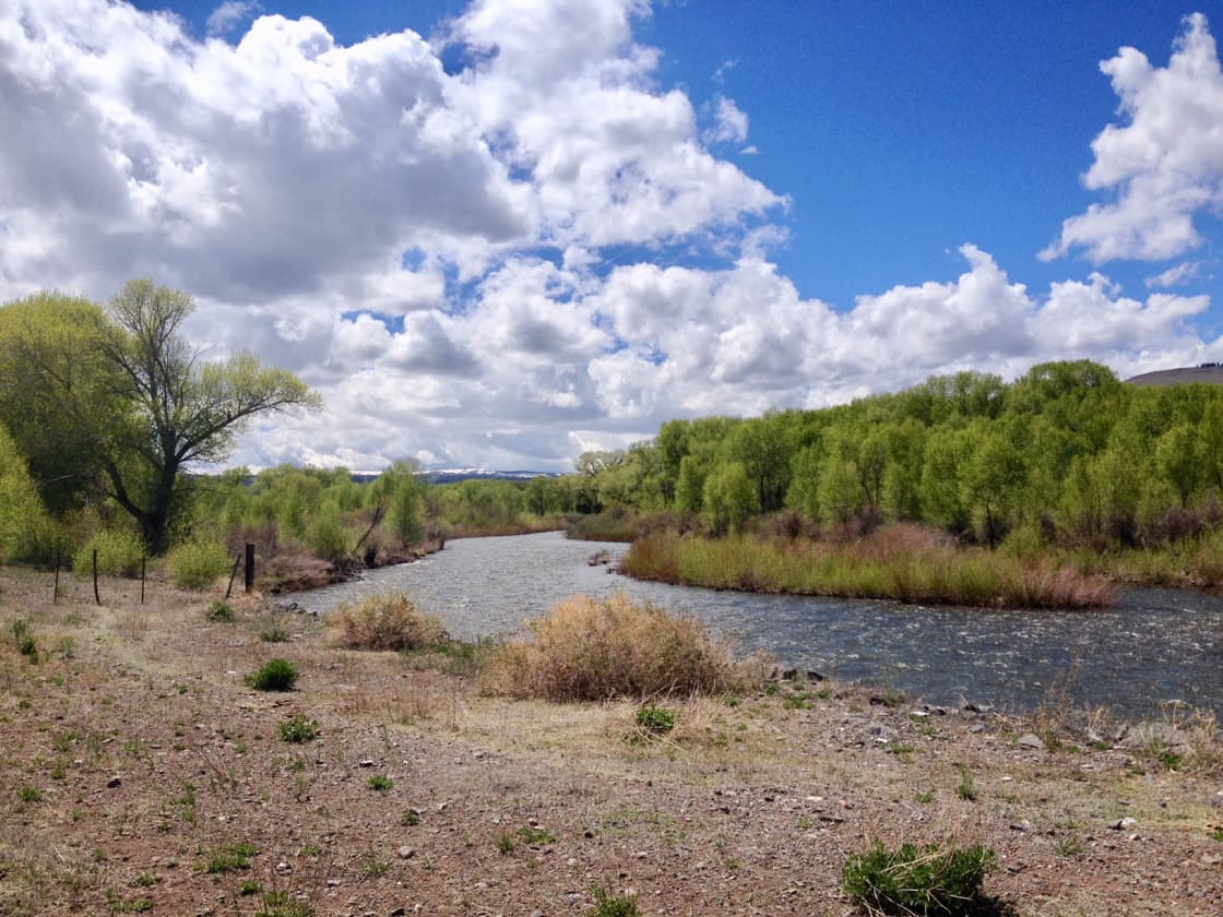 Conejos River runs thru the ranch