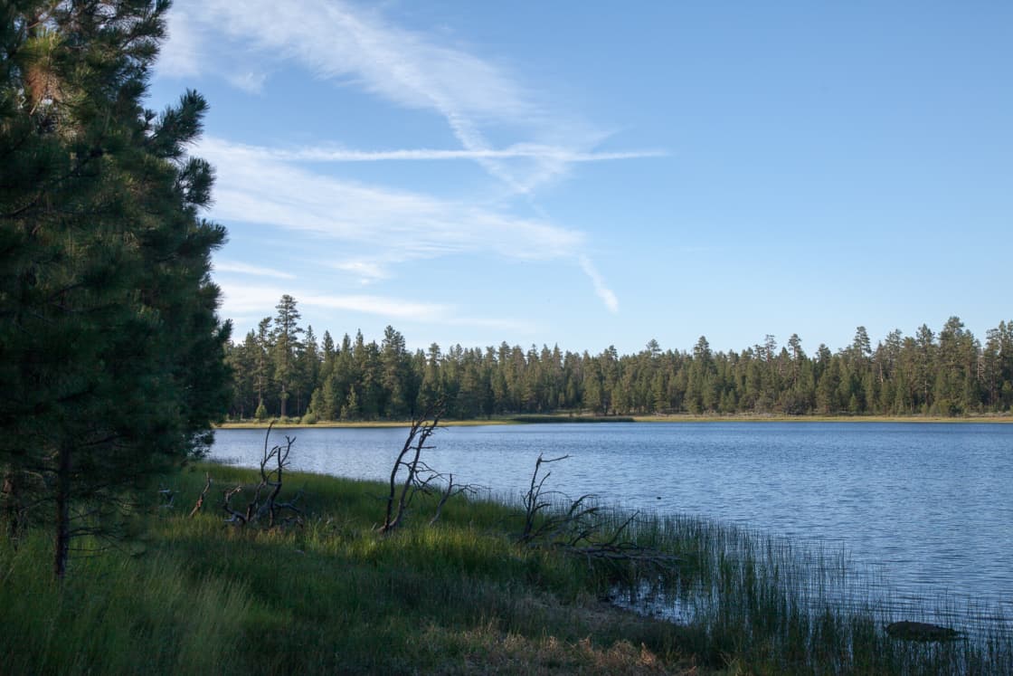 Delintment Lake Campground