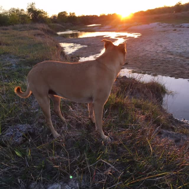 Watch the sun set over the creek with your best bud.