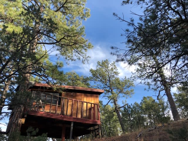 The Tecolote tree house cabins are slightly further apart to give a little more privacy to individual parties. (No electricity in Tecolote 1,2,3).