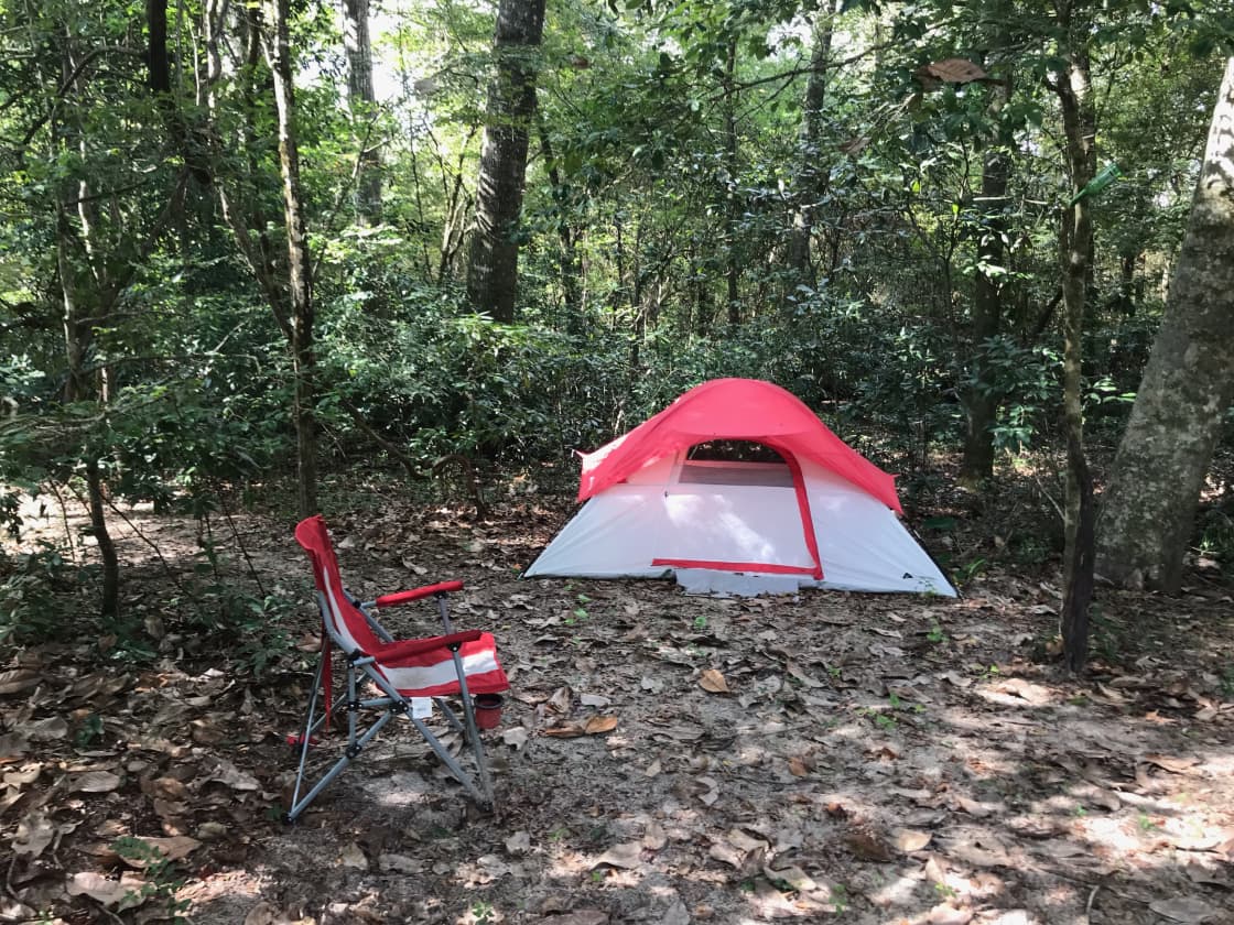 At Camp Topisaw you'll be surrounded by nature. Enjoy camping in the woods or on a sandbar along the creek. Spend your days hiking the trails, playing in the creek or hunting for rocks and fossils. This photo was taken at Site 5.