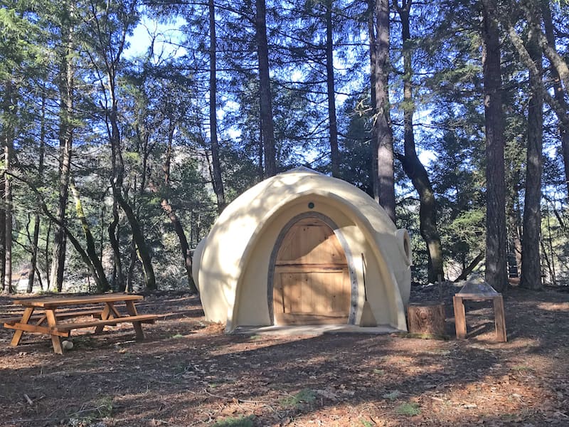 Forest Dome Home