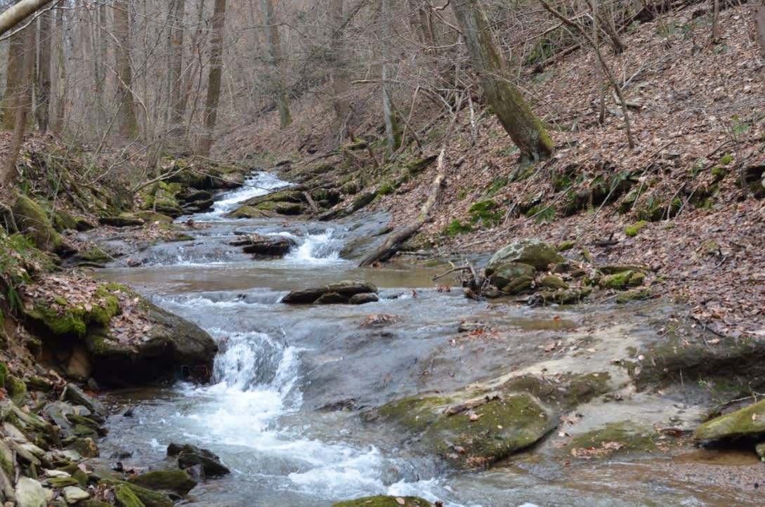 The sound of rushing water along the trails is both invigorating and calming.