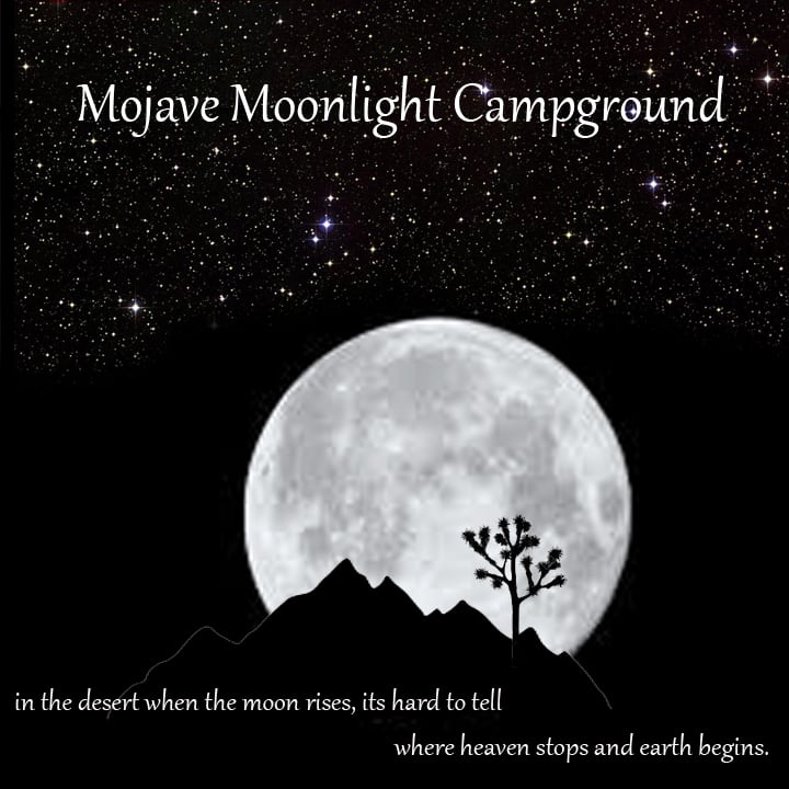 Mojave Moonlight Camping