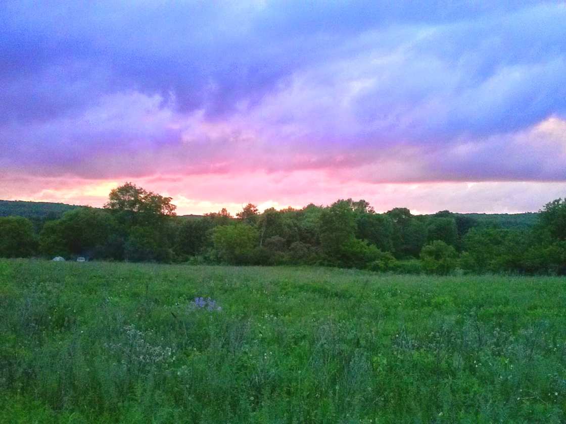 Unadilla Community Coop Farm Hipcamp in West Edmeston, New York
