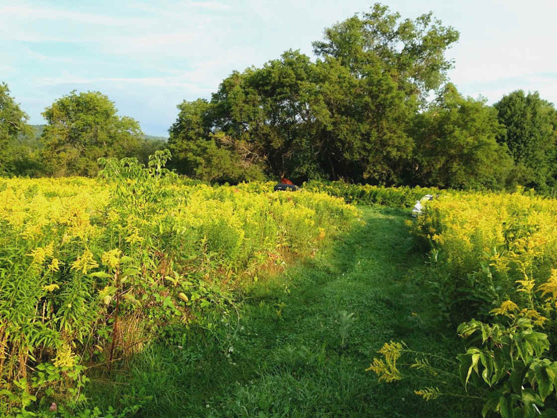 Unadilla Community Coop Farm Hipcamp in West Edmeston, New York