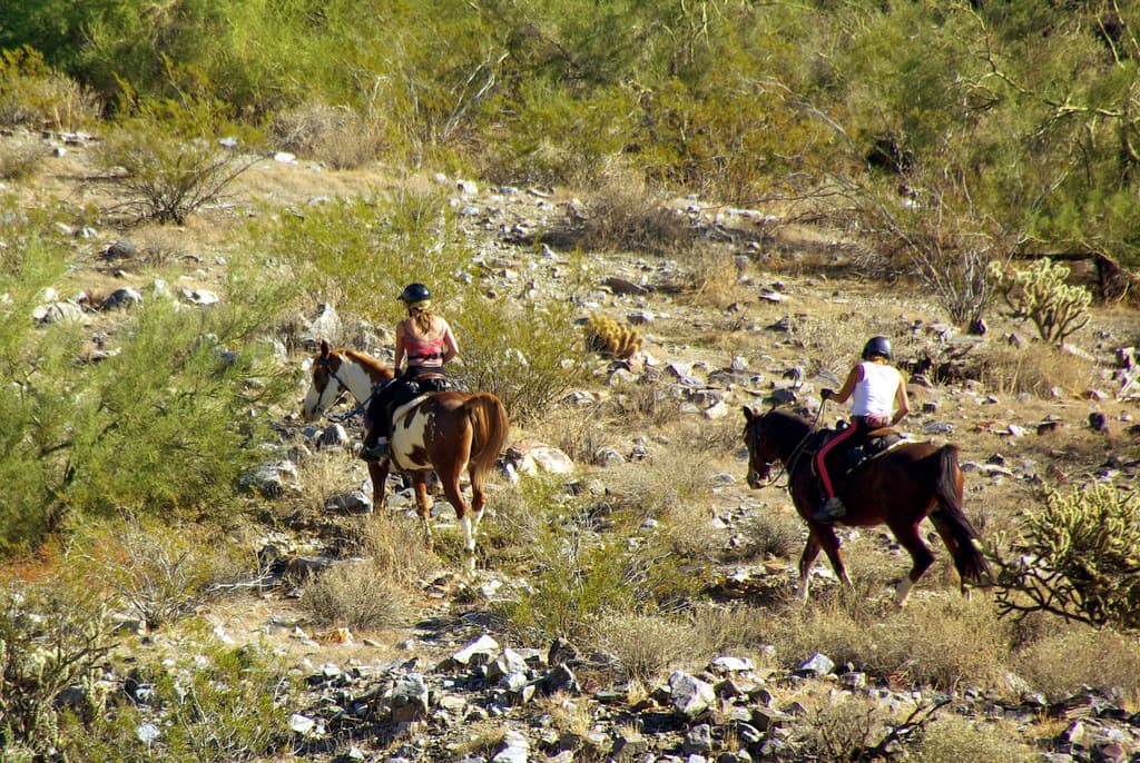 The nearby Tonto National forest and McDowell Mountain park have great trail riding.  Bring your own horses (which can overnight with us for an additional $25 per horse) or go trail riding at local stables.