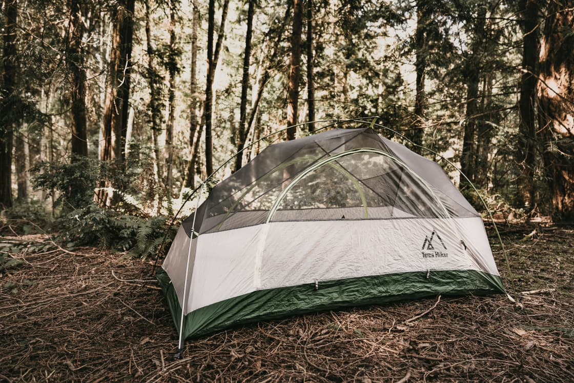 A perfect spot to set up a tent in the woods