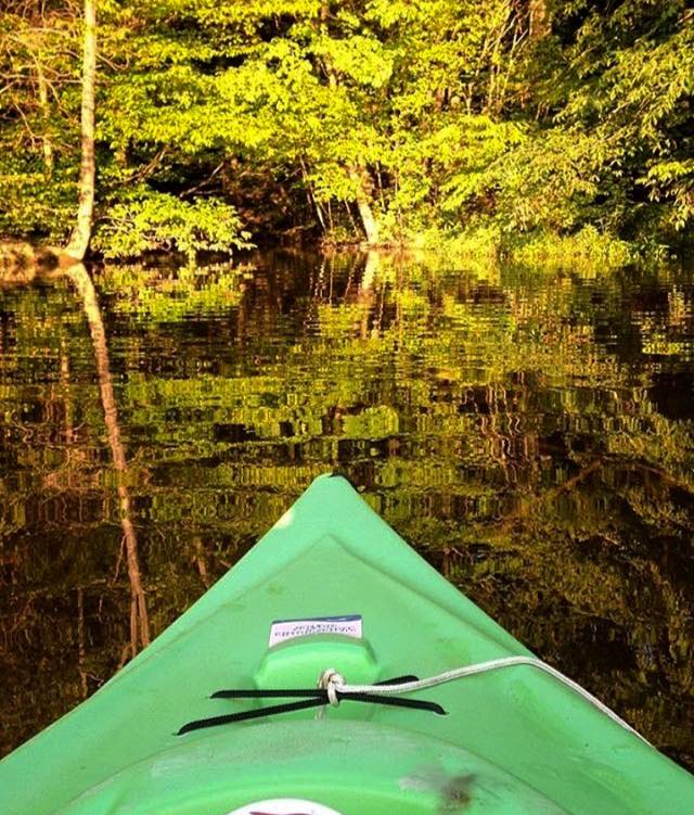 Your view by kayaking on the pond.