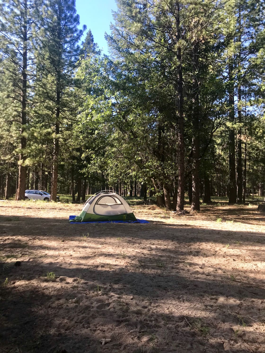 The campsite-in the middle of the Plumas National Forest. So beautiful and secluded! 