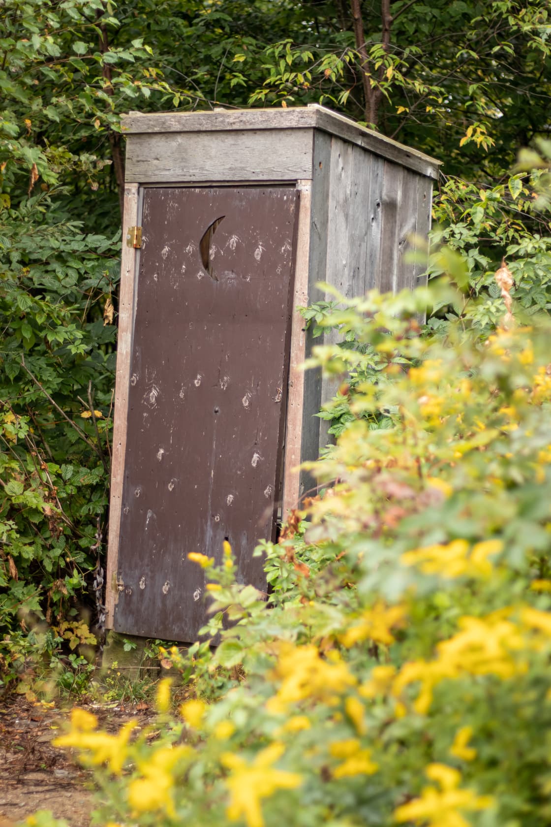 The outhouse is just a short walk down a trail, complete with TP and wood shavings.