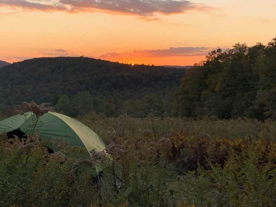 Camping in the meadow, September 2019