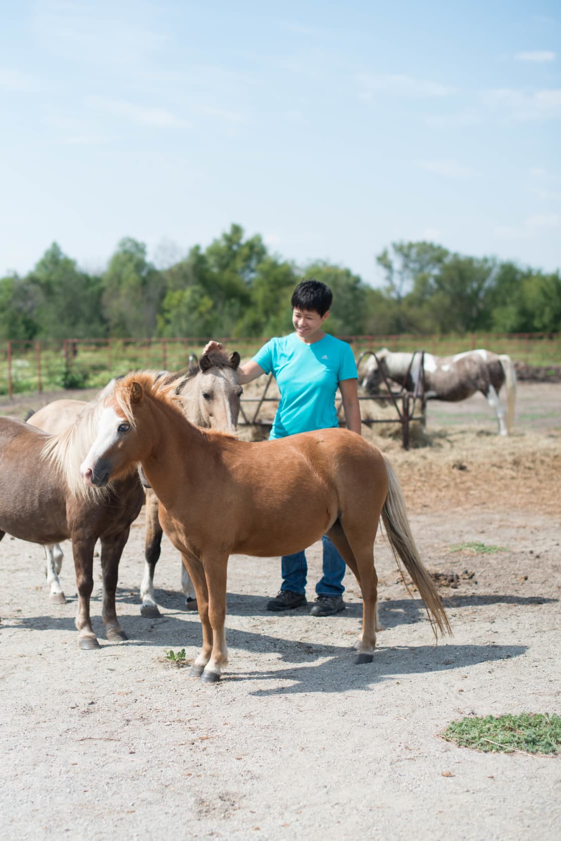 We couldn't get enough of these friendly mini horses!