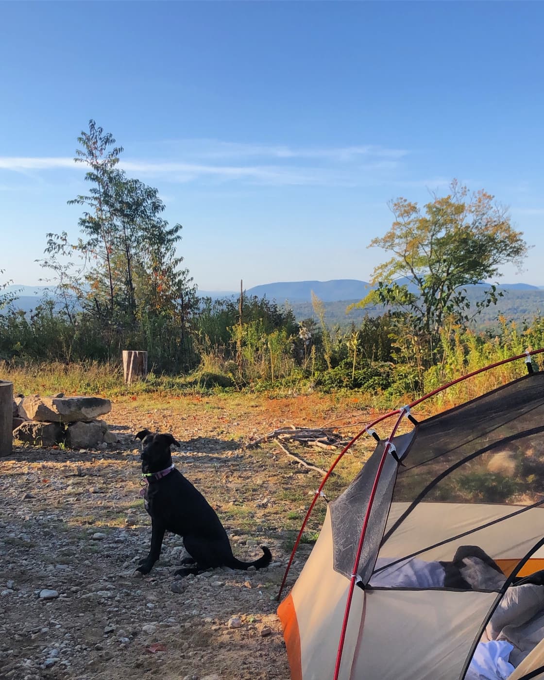 Site #5 (it stands for 5 starts)
4x4 is a must! (room for cars at site)
Flat sanded area for a tent
Fire pit and picnic table 
*very cute dog not included 
