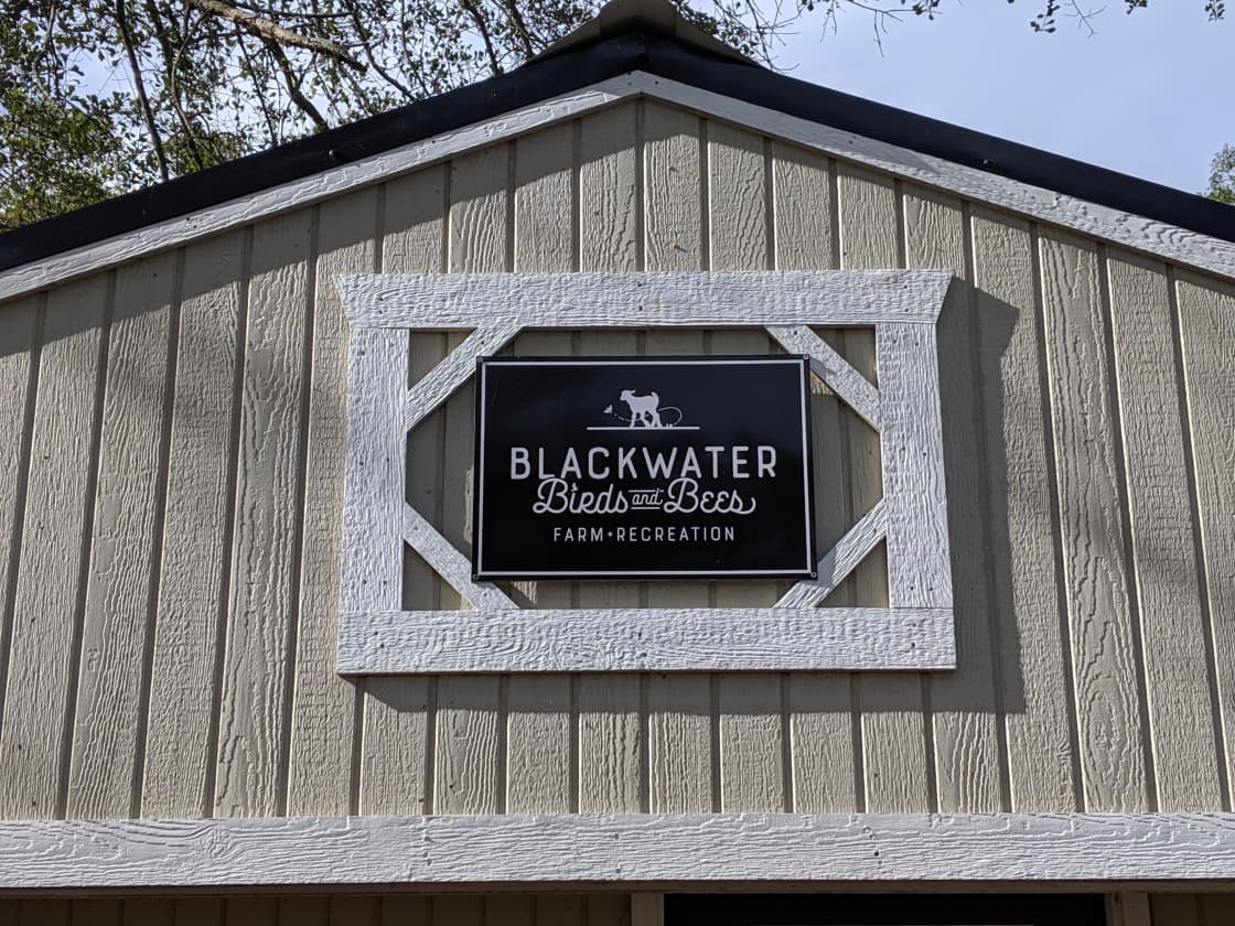 Blackwater Birds and Bees