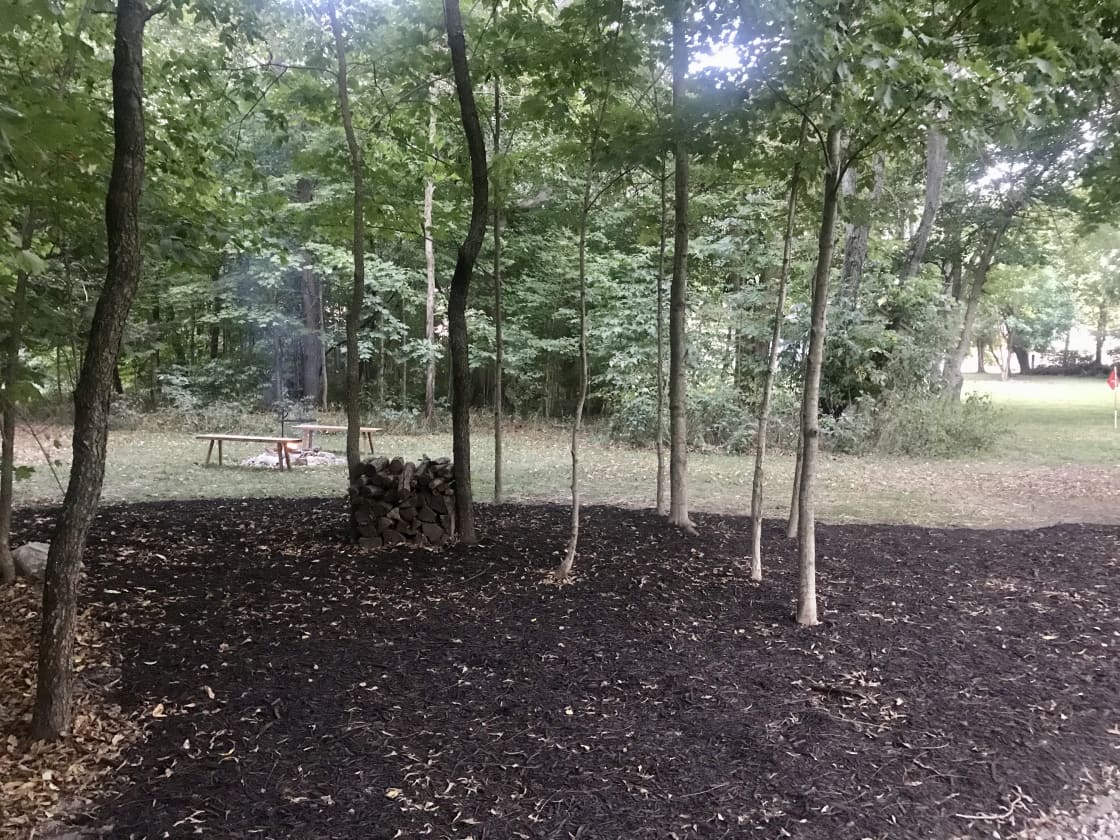 View of campfire site from driveway.