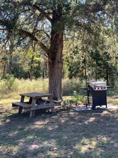 Most all sites have Picnic tables. BBQ pits at some, 
