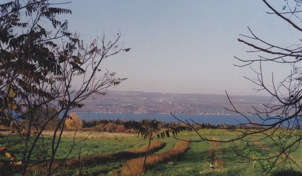 Seneca lake as seen from the farm