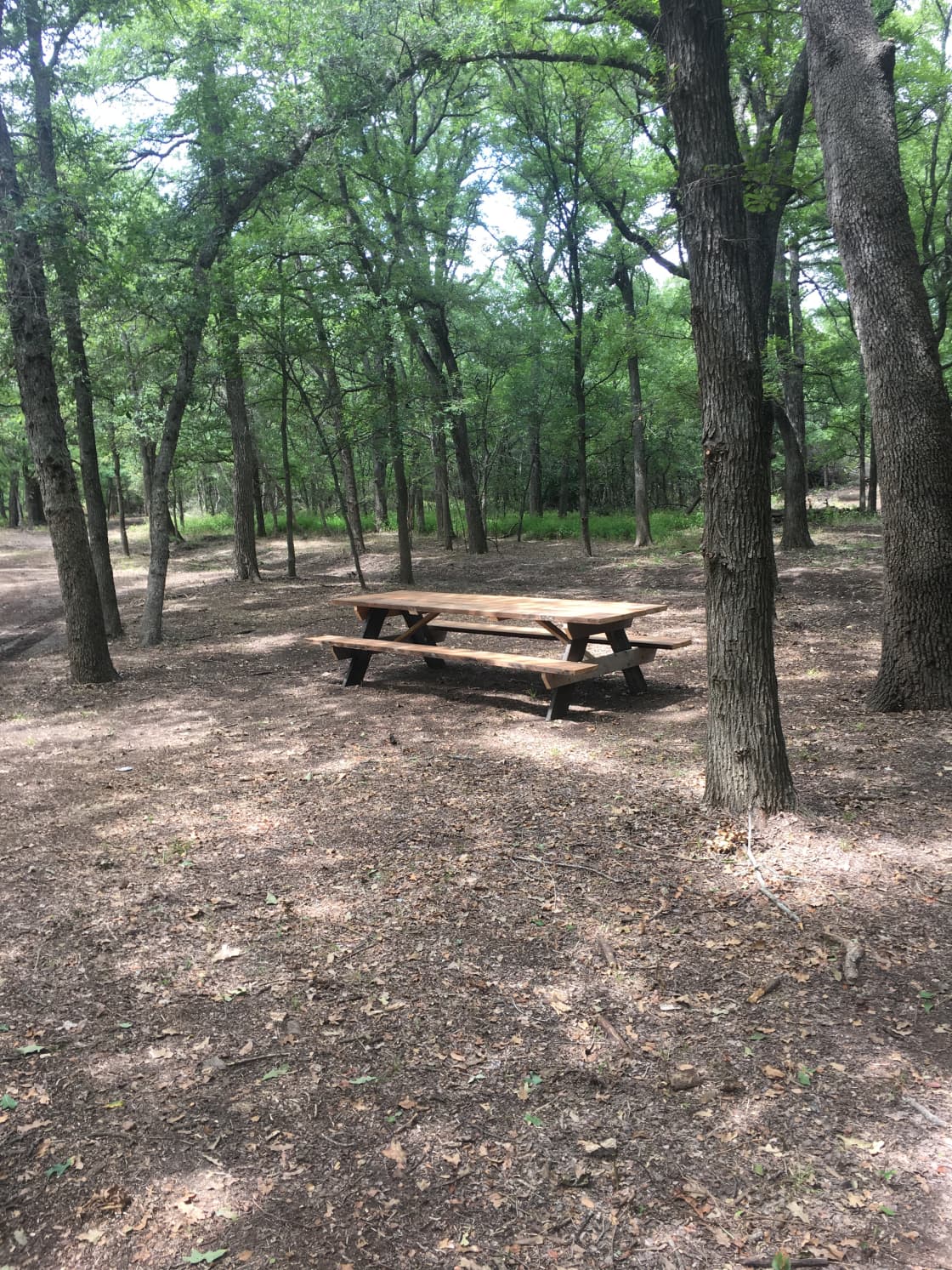 One of the many picnic and camp sites within Inez Spring Riverfront Park.