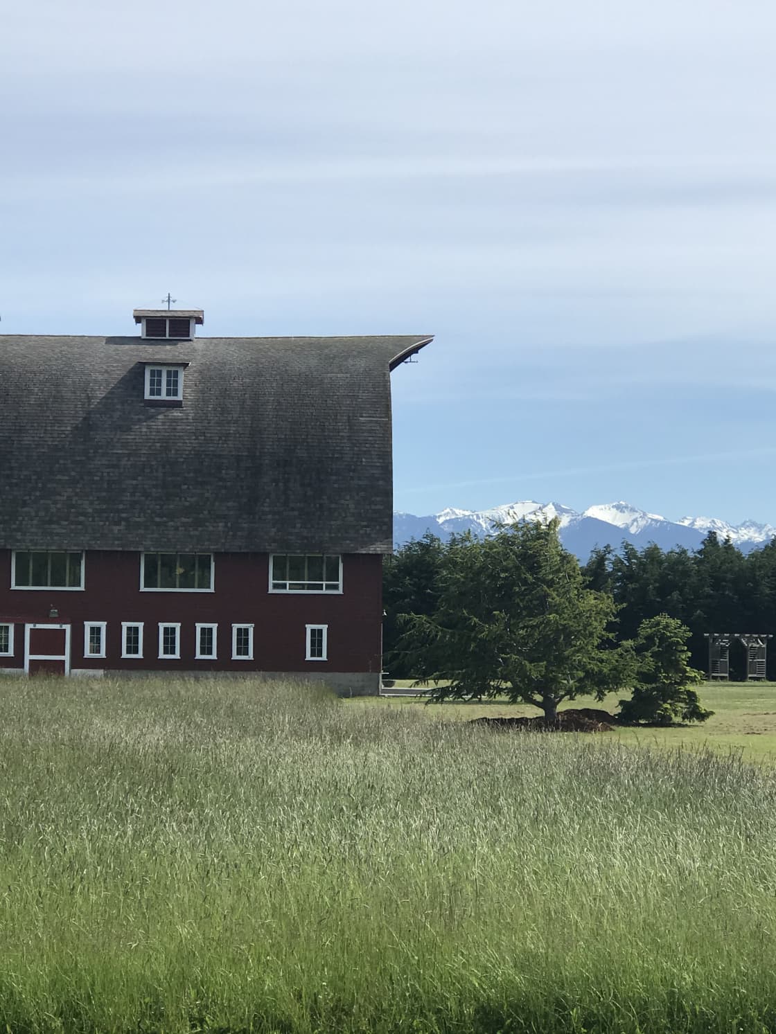 Olympic Mountains and Barn