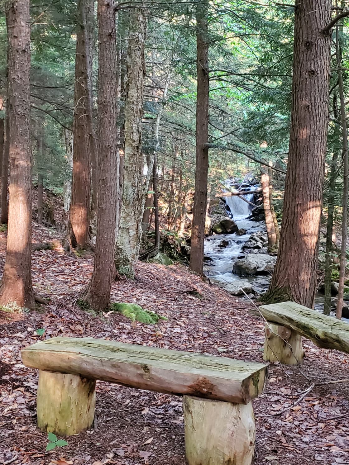 Waterfall Meditation Spot 