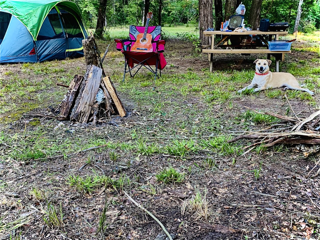 Glamm Camping
