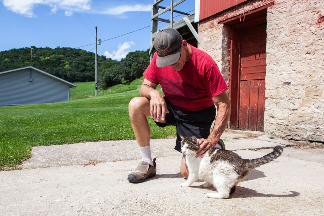 No camp is complete without a friendly cat. :)