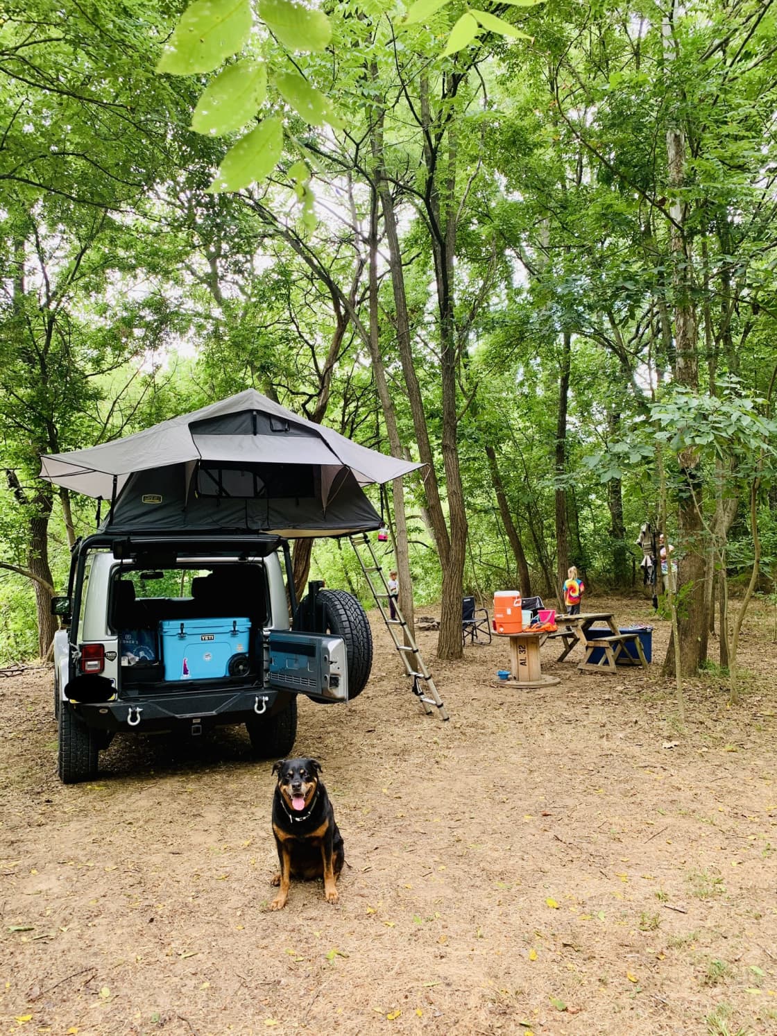 Our set up! (Our dog modeling so well)