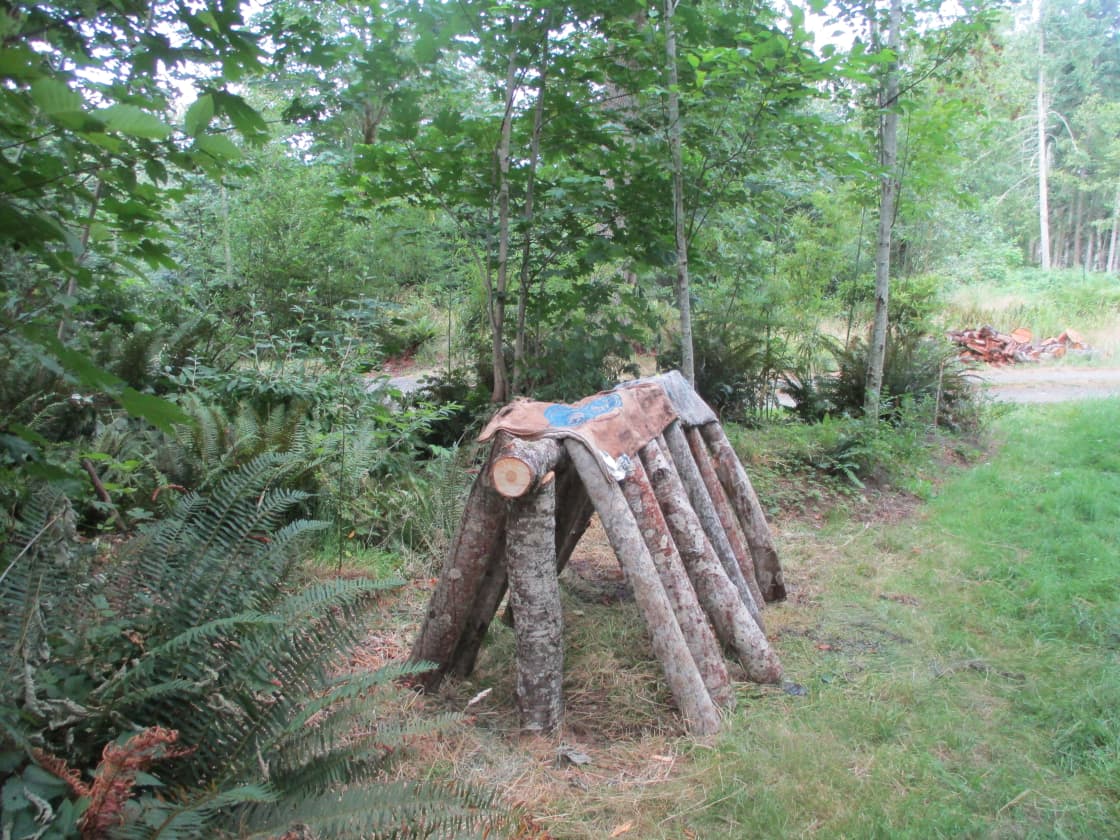 Our mushroom log system