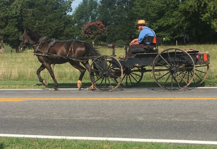 We live in a county with a great Amish community. They sell wonderful produce and baked goods nearby.