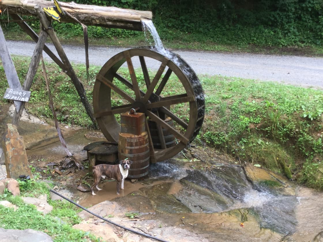 Very cool waterwheel at the country store across the road.