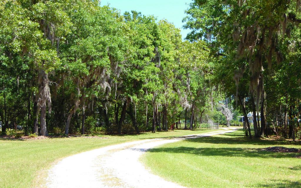 Relaxing Ft White RV Site Hipcamp in Fort White, Florida