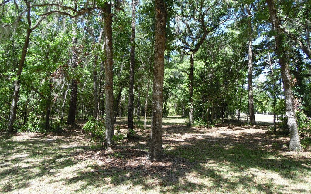 Relaxing Ft White RV Site Hipcamp in Fort White, Florida