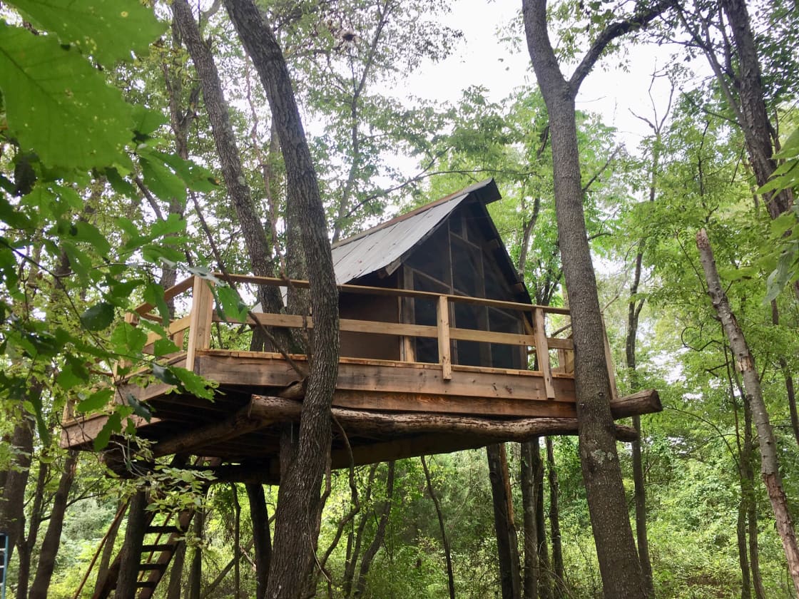 Treehouse from walking path.