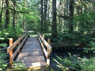 Footbridges to trails