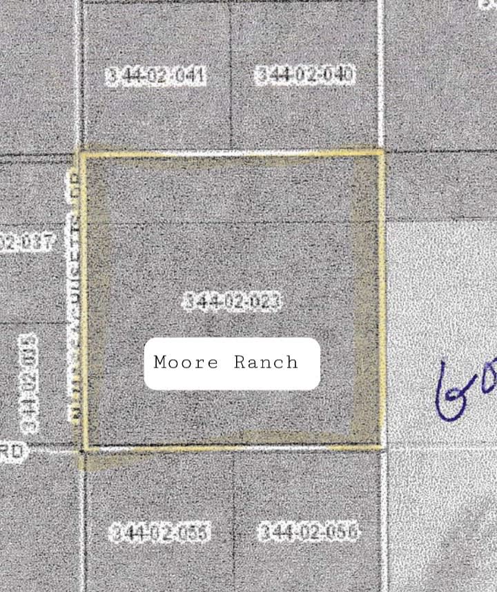 Moore Ranch