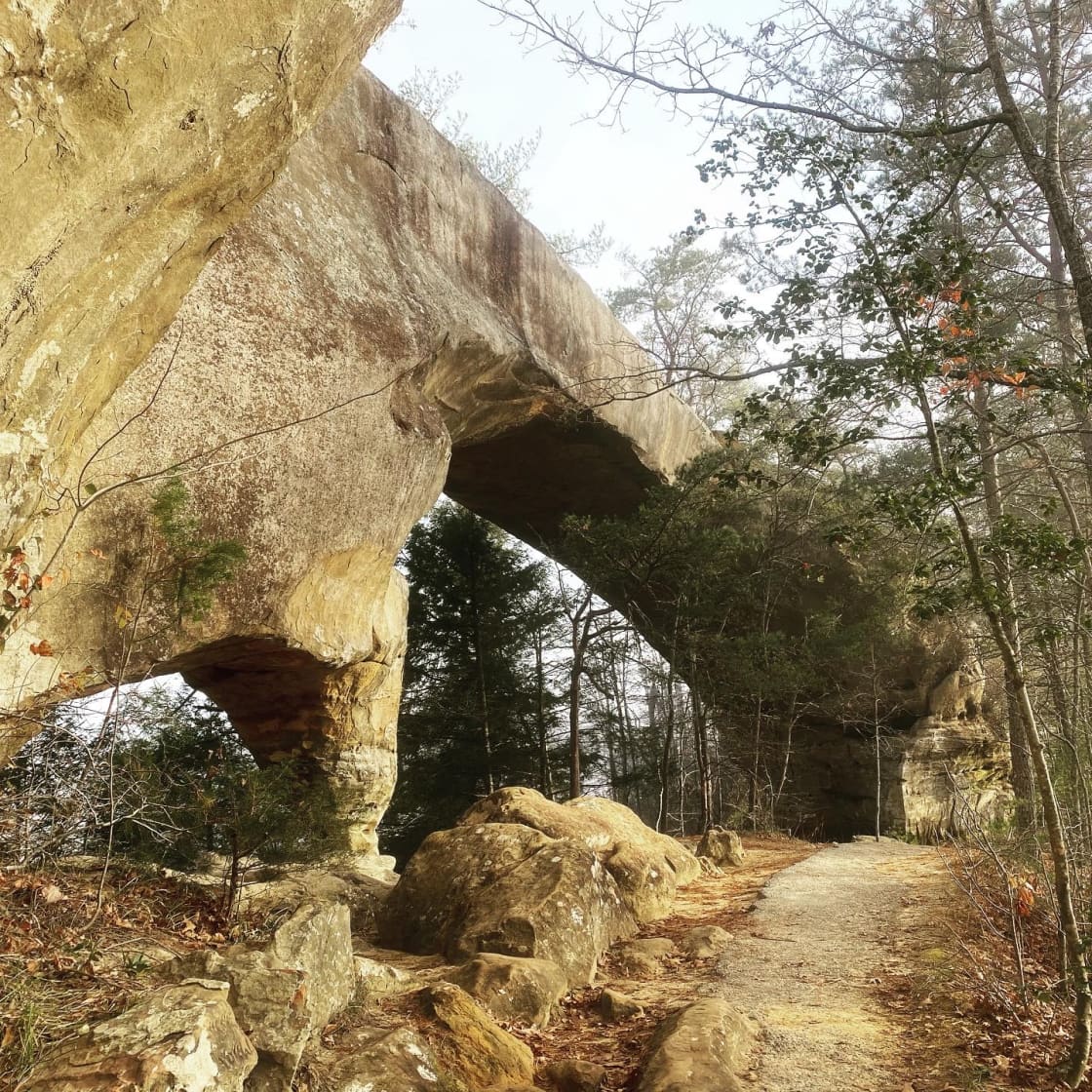 Red River Gorge 
